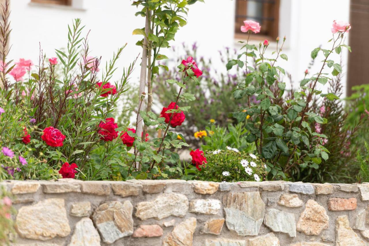Garden House Psarogiannis Leilighet Vourvourou Eksteriør bilde